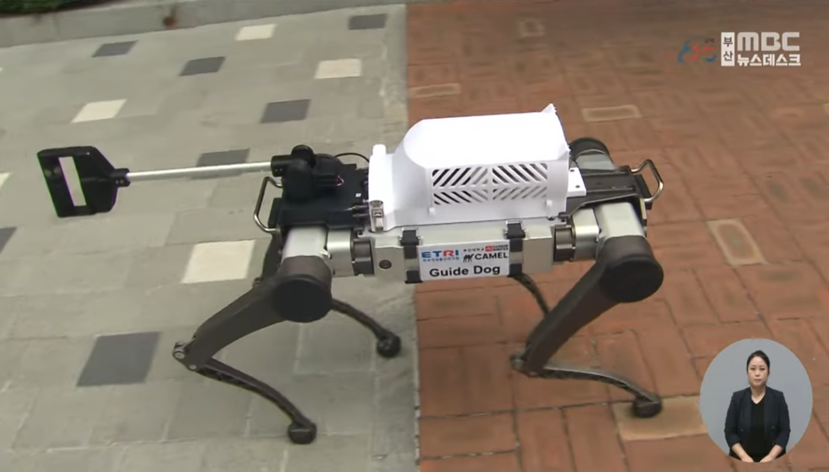 부산 MBC 뉴스- 이인호 교수팀 우수 성과 (AI 안내견 로봇) 대표이미지